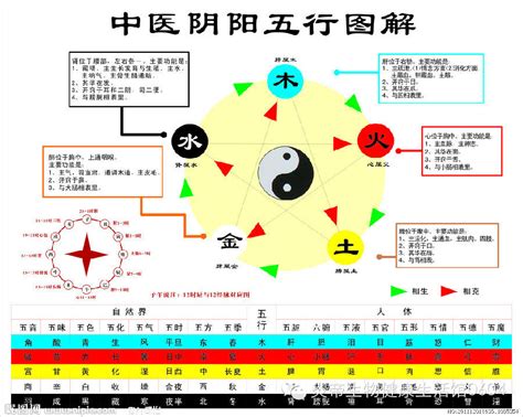 生肖相生相剋表|簡單明了，圖解五行相生相剋